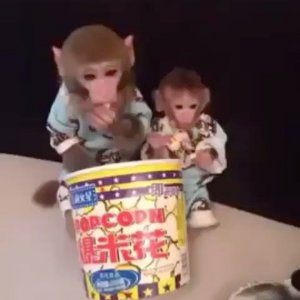 “Mısır sevenler ❤️”